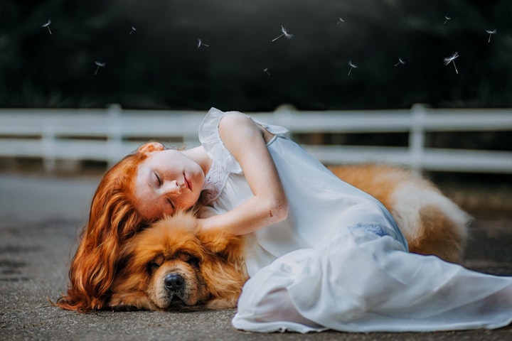 愛犬と愛犬が大好きな少女