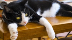 記事カテゴリ第5位