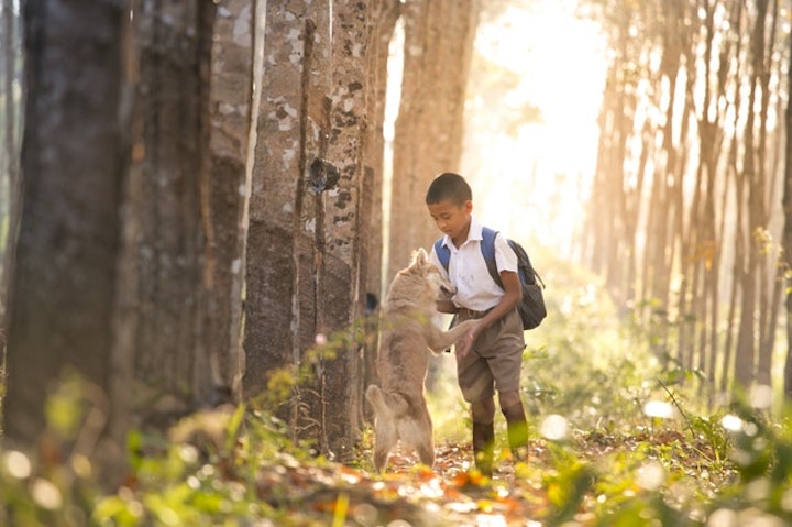 boy and dog