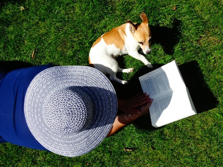 犬と草原の上