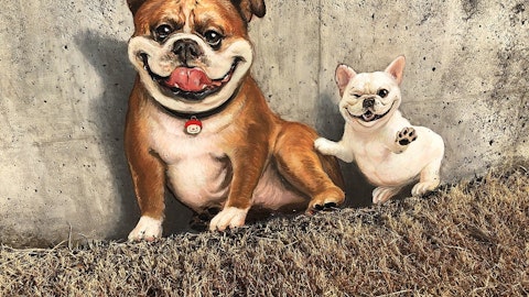 飼い犬と一緒に楽しめる!「那須とりっくあーとぴあ」を紹介!のアイキャッチ画像