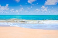 記事カテゴリ第4位