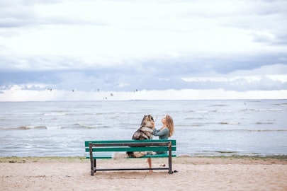 愛犬と海にお出かけするなら!7つの注意点と対策のアイキャッチ画像