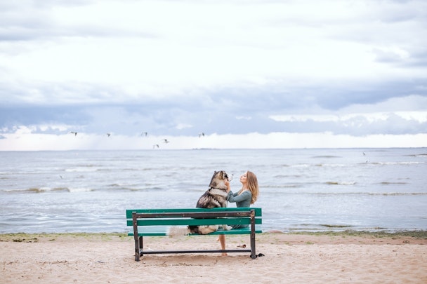 愛犬と海にお出かけするなら！７つの注意点と対策のアイキャッチ画像