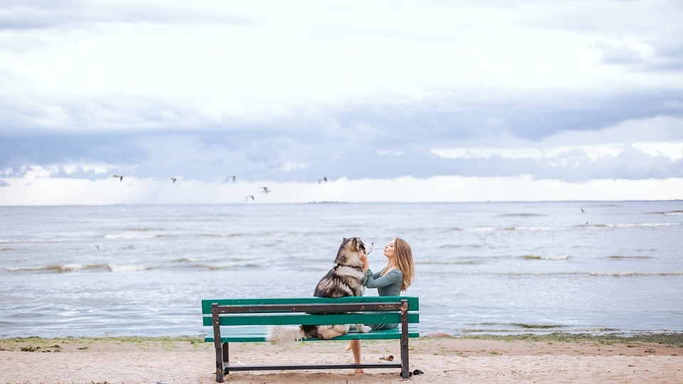 愛犬と海にお出かけするなら!7つの注意点と対策