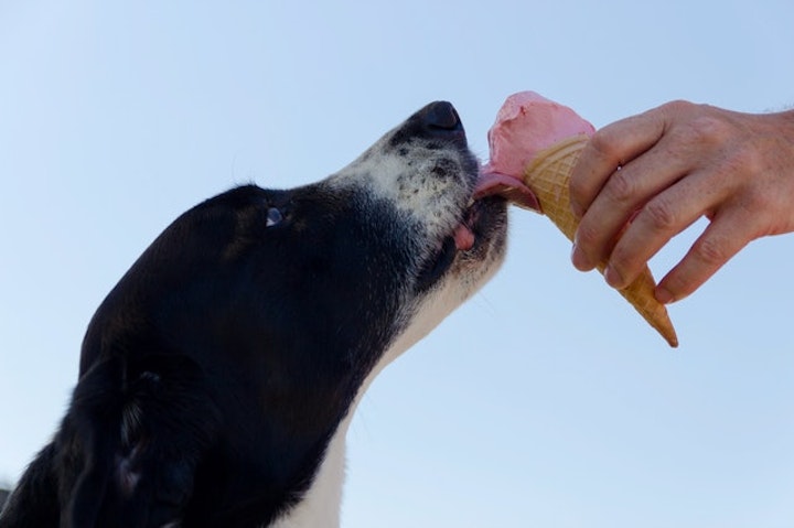 frozen yogurt