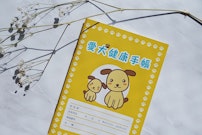 記事カテゴリ第5位