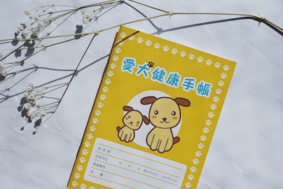 無料でも入手できるってほんと?「愛犬健康手帳」を買ってみた。のアイキャッチ画像