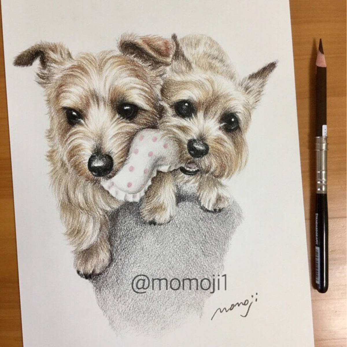 ペットアートを手がけるMomojiさんの世界。愛犬の姿を肖像画に残