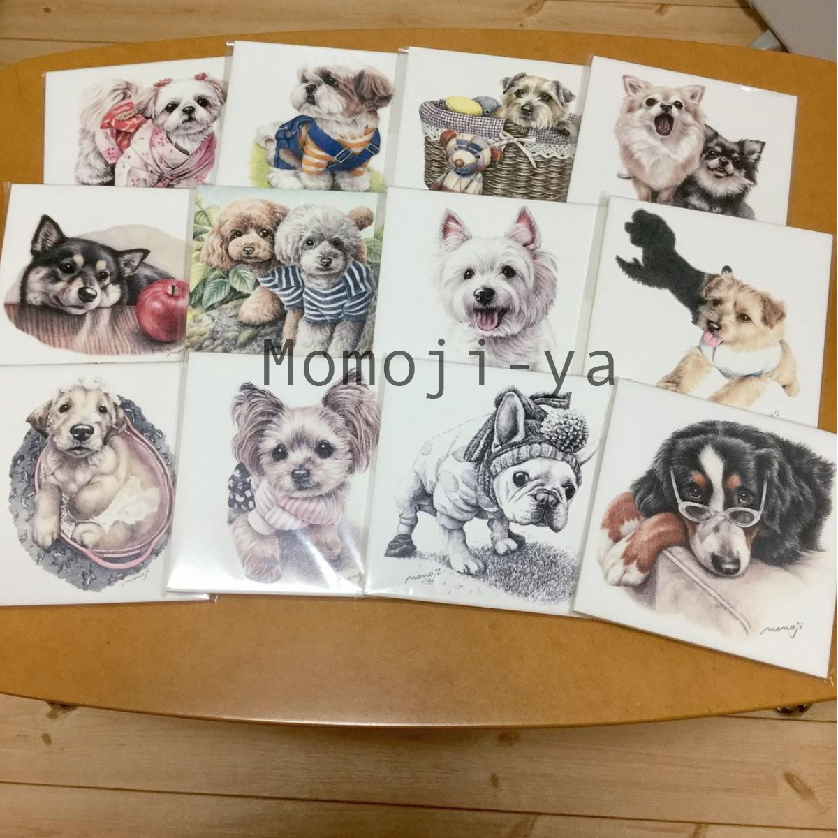ペットアートを手がけるMomojiさんの世界。愛犬の姿を肖像画に残そう