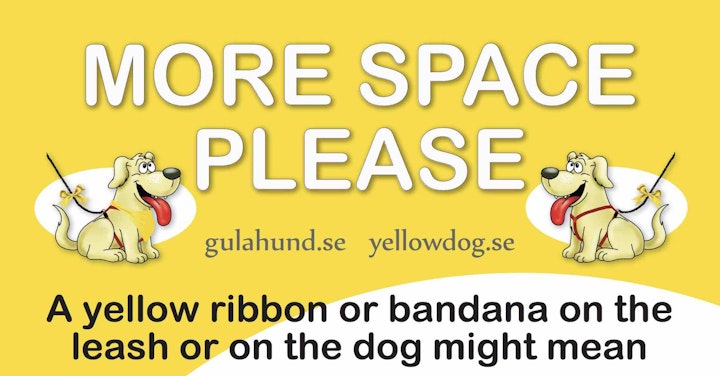 黄色のリボンをつけた犬には近づいてはいけない？イエロードッグプロジェクトとは？ - CHERIEE あにまるマガジン