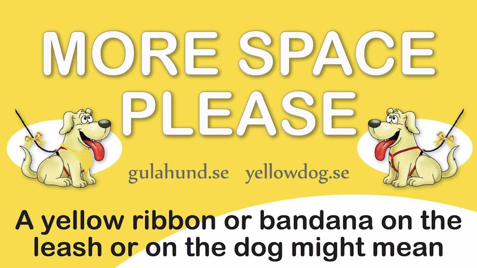 黄色のリボンをつけた犬には近づいてはいけない?イエロードッグプロジェクトとは?