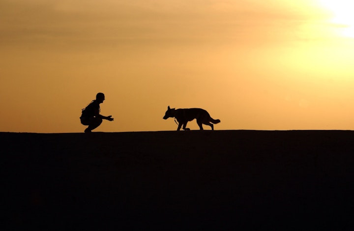 夕焼けの中の犬と人