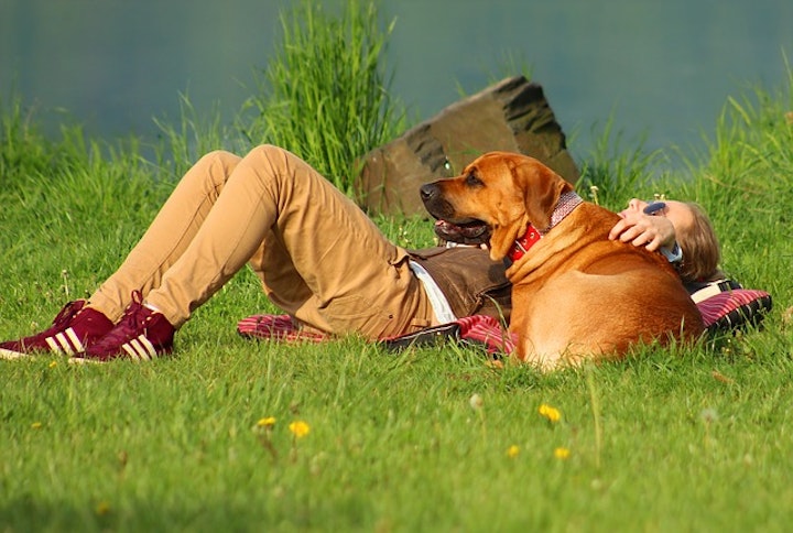 寝転ぶ女の子と犬