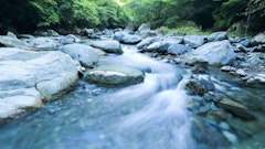 記事カテゴリ第2位