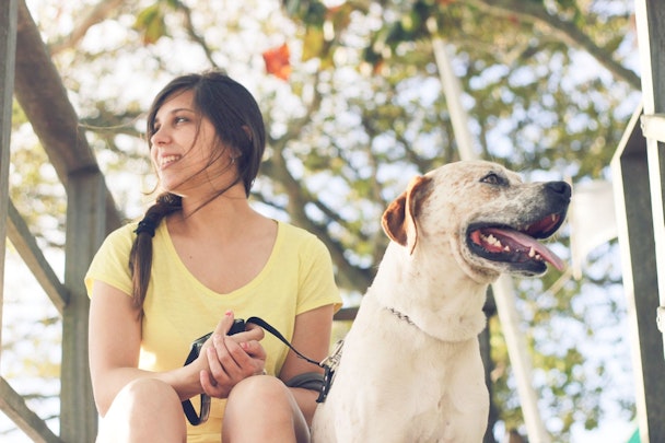 オレンジのベストを着た「ほじょ犬」！聴導犬のお仕事って？のアイキャッチ画像