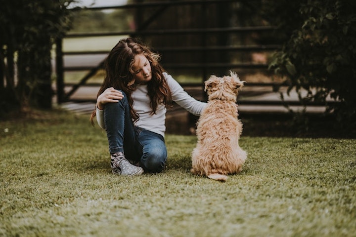 犬の声が枯れるのはもしかして呼吸器の病気？