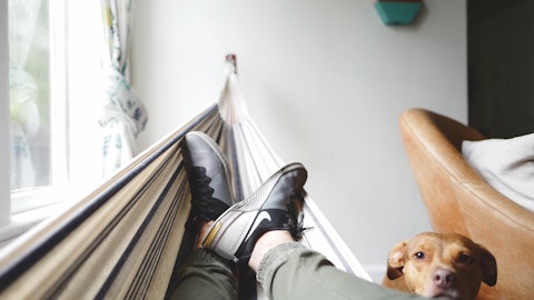 犬の幸せとは?マレーシア、クアラルンプールの犬事情から考えるのアイキャッチ画像