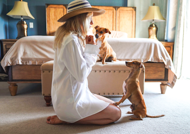 素敵な暮らしの秘密。達人に学ぶ、犬用品のおしゃれ収納術!のアイキャッチ画像