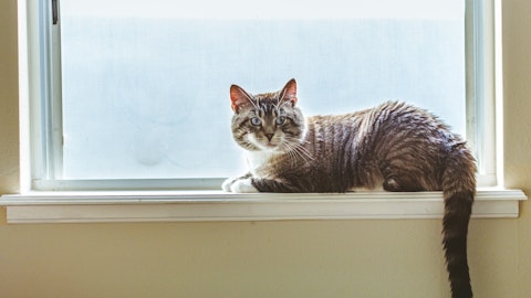 実は人間の顔は認識できない?猫は飼い主を「音」と「匂い」で認識するのアイキャッチ画像