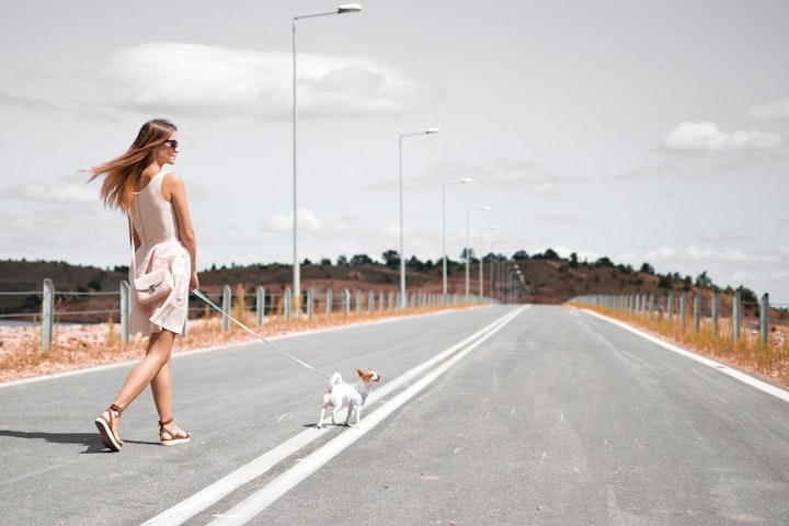 犬を連れて散歩する女性