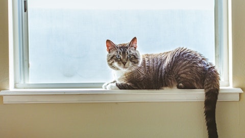 【前編】猫を飼う前に知っておこう。猫の主な10の習性を紹介のアイキャッチ画像