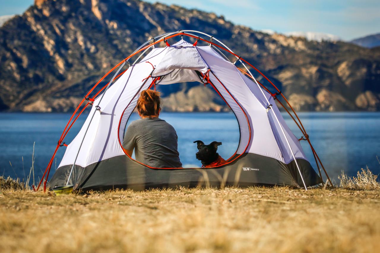 お留守番させなくて大丈夫！愛犬との「キャンプ」のすすめ。