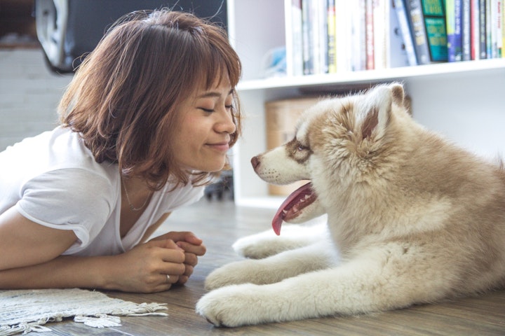 笑う犬と飼い主