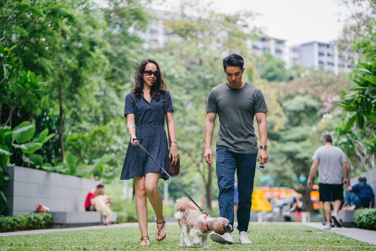 他の犬を怖がってしまう原因と克服方法 シェリー ペットの幸せを一緒に考える