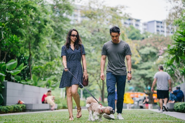 他の犬を怖がってしまうのはなぜ？正しい克服方法とはのアイキャッチ画像