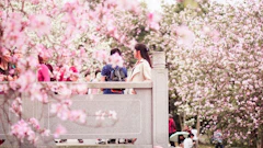 記事カテゴリ第5位