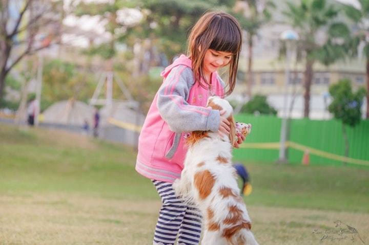 女の子と遊ぶ犬