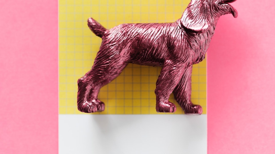 犬の発情について知ろう。あらわれる特徴や注意することとは