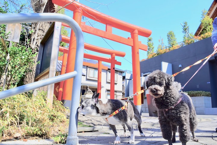 赤城神社