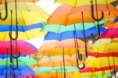 雨の日でも犬のお散歩は行くべき？雨の日の過ごし方とは？のアイキャッチ画像