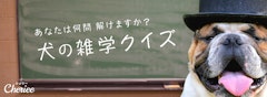 記事カテゴリ第5位
