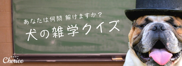 正答率30%！？あなたは何問解けますか？犬の雑学クイズのアイキャッチ画像