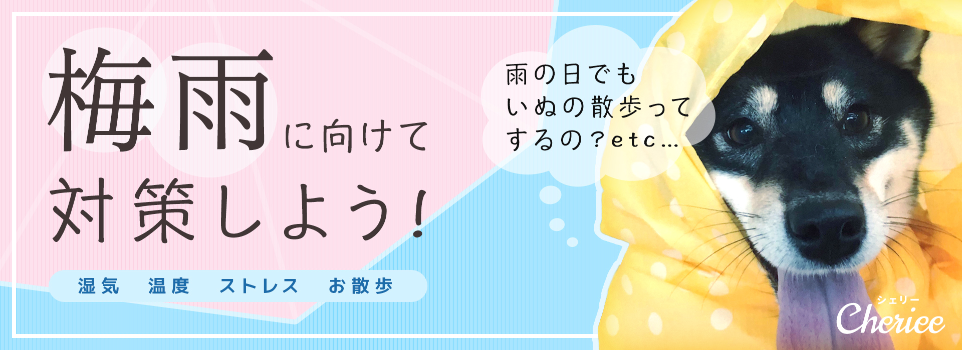 ジメジメした梅雨に備えよう！雨の日特集