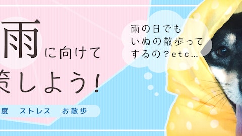 ジメジメした梅雨に備えよう!雨の日特集のアイキャッチ画像