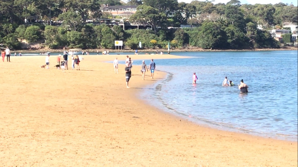 ドッグ・ビーチってどんなところ？オーストラリアの「ベイビュー・ドッグ・パーク」から