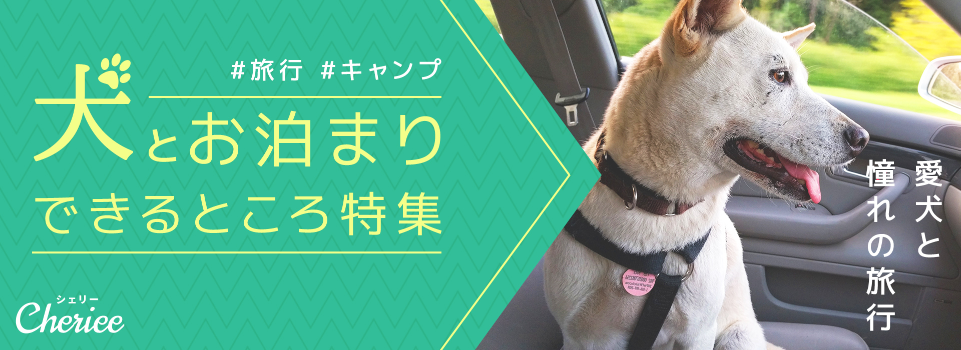 【特集】犬とお泊まりできる場所のまとめ