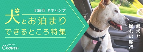 【特集】犬とお泊まりできる場所のまとめのアイキャッチ画像