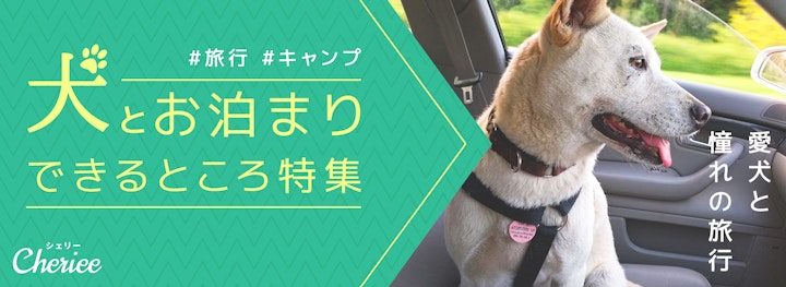 【特集】犬とお泊まりできる場所のまとめのアイキャッチ画像