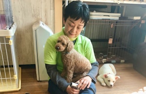 for dogs ぱうぜ,おでかけ,カフェ,ドイツ料理,ドッグカフェ,ドッグラン,東京,練馬
