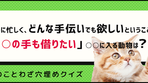 動物のことわざ穴埋めクイズ!のアイキャッチ画像
