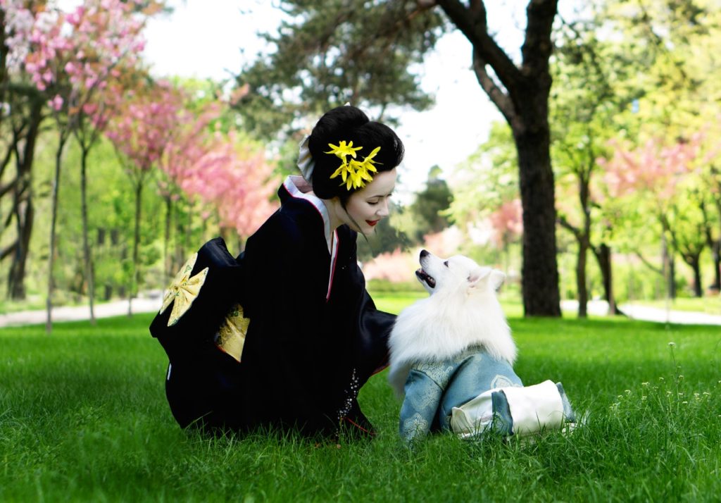 日本人と犬