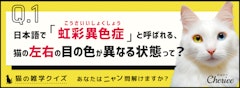 記事カテゴリ第5位