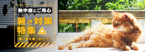 【熱中症予防】この暑い夏を乗り切ろう！暑さ対策特集のアイキャッチ画像