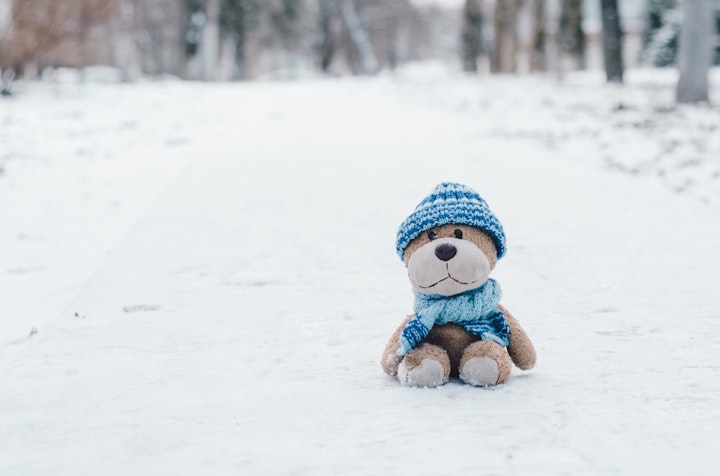 ぬいぐるみと雪