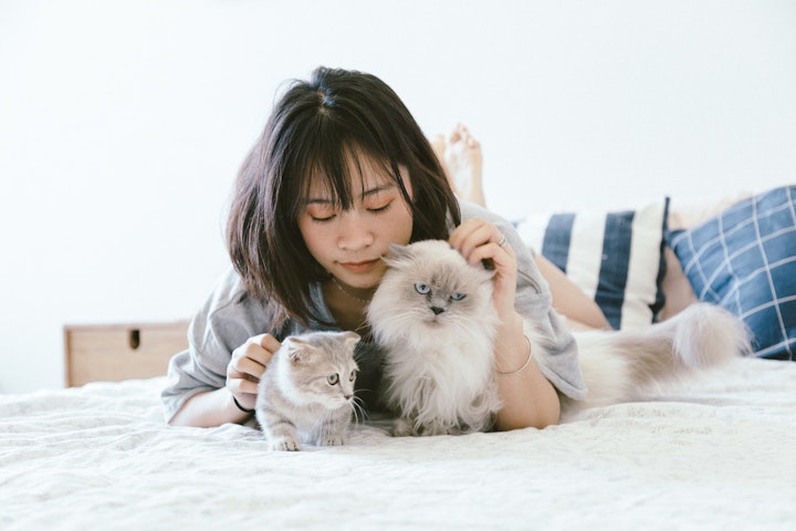 猫と女性